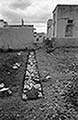301480086.jpg