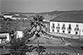 301480169.jpg