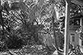 301480182.jpg