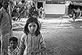 301480241.jpg