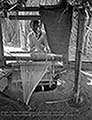 301480250.jpg