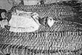 301480262.jpg