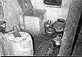 301480267.jpg