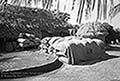 301480319.jpg
