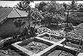 301480328.jpg