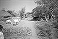 301480410.jpg