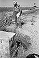 301480421.jpg