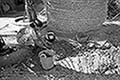 301480436.jpg