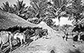 301480448.jpg