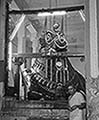 301480589.jpg