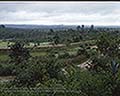 301510040.jpg