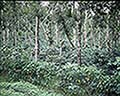301510046.jpg