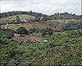 301510075.jpg