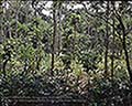 301510109.jpg