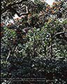 301510110.jpg