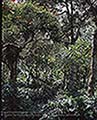 301510111.jpg