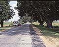 301510136.jpg