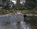 301520011.jpg