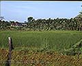 301520022.jpg