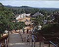 301520032.jpg