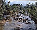 301520041.jpg