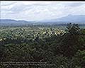 301520042.jpg