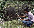 301520045.jpg