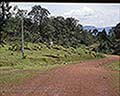 301520046.jpg