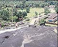 301520047.jpg