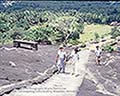 301520048.jpg