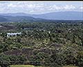 301520051.jpg