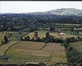 301520052.jpg