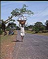 301520057.jpg