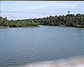 301520058.jpg