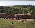 301520059.jpg