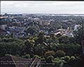 301520061.jpg