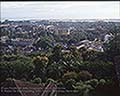 301520063.jpg