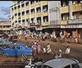 301520065.jpg
