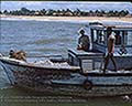 301520072.jpg