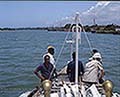 301520075.jpg