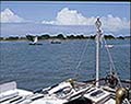 301520076.jpg