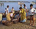 301520081.jpg