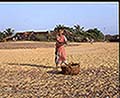 301520085.jpg