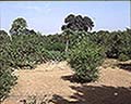 301530016.jpg