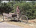 301530018.jpg