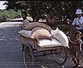 301530019.jpg
