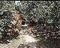 301530020.jpg
