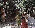 301530022.jpg