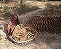 301530036.jpg