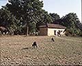 301530038.jpg